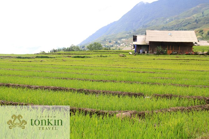 Sapa Hard Trekking Villages Homestay 3days/ 2nights Tour - Amazing Culture - Overview of the Tour