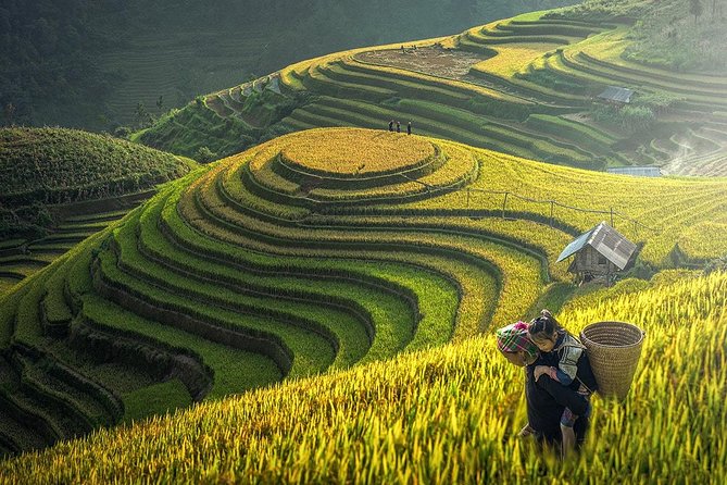 Sapa Trek Tours -2D1N Stay At 3*** -TRANSFER BY SLEEPING BUS - Itinerary Overview