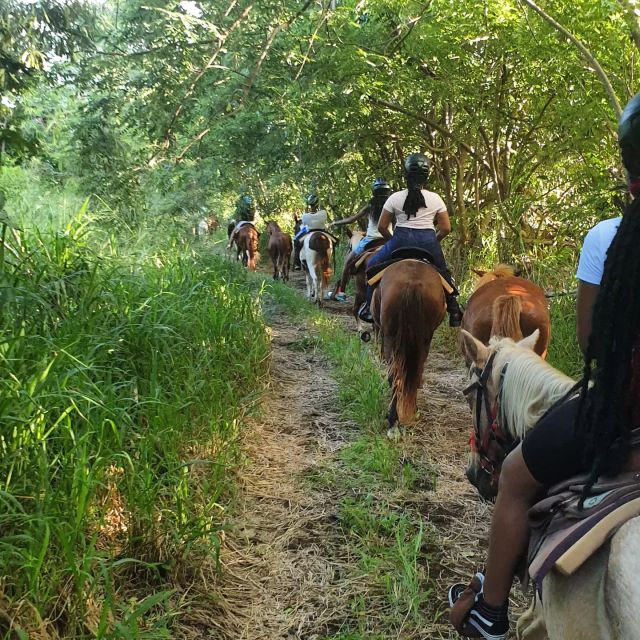 Scenic Horseback Trail - Key Points