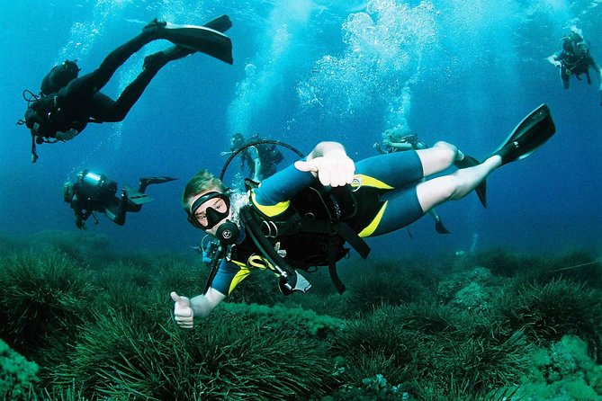 Scuba Diving Baptism and Snorkeling in Ibiza - Key Points