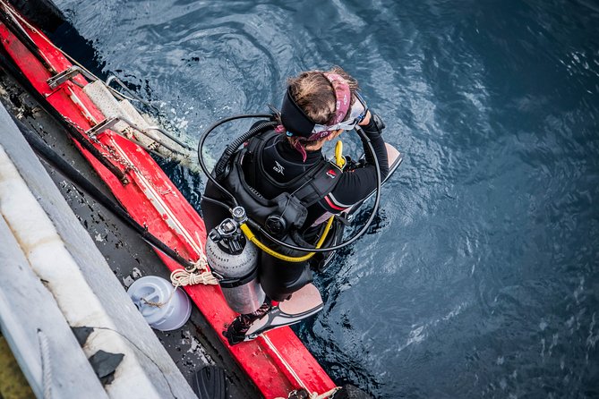 Scuba Diving Trip to Sail Rock From Koh Phangan (Certified Divers) - Key Points