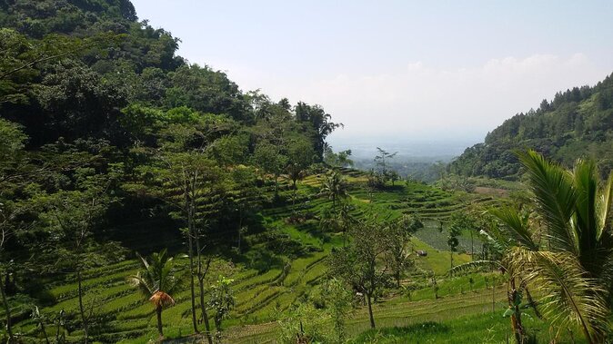 Selogriyo Temple and Trekking Java Rice Terraces, Hidden Waterfall - Nature Java - Key Points
