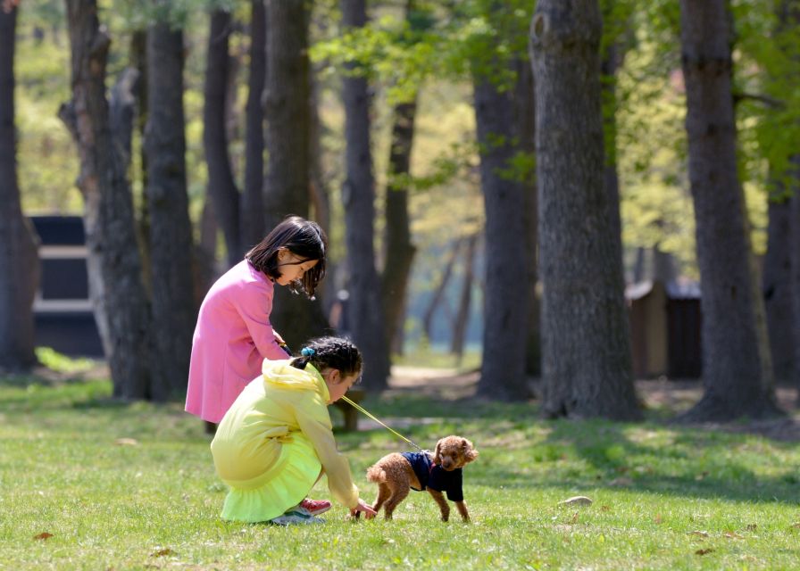 Seoul To/From Nami Island: Round-Trip Shuttle Service - Key Points