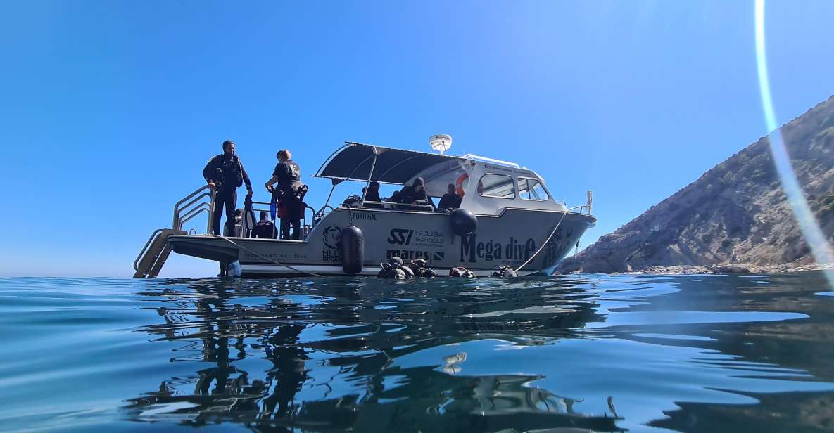 Sesimbra: Double Dive on a Marine Reserve - Marine Reserve of Parque Marinho