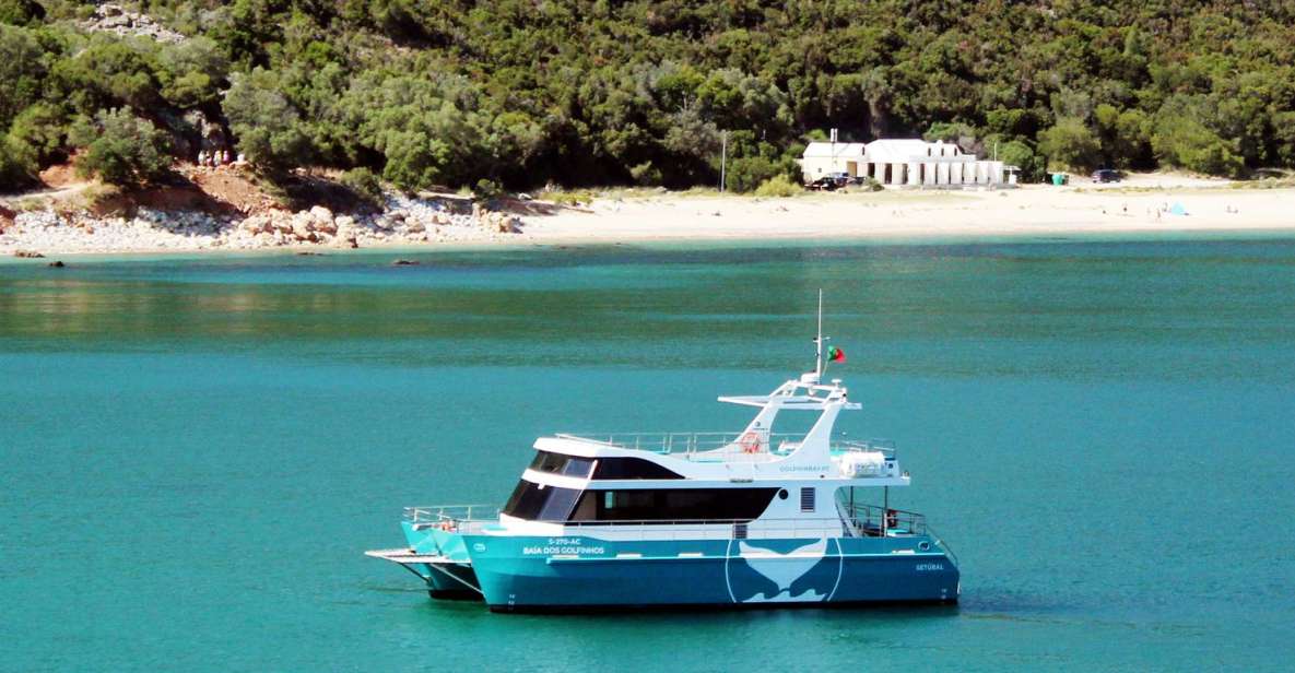 Setúbal: Dolphin Watching Tour - Key Points