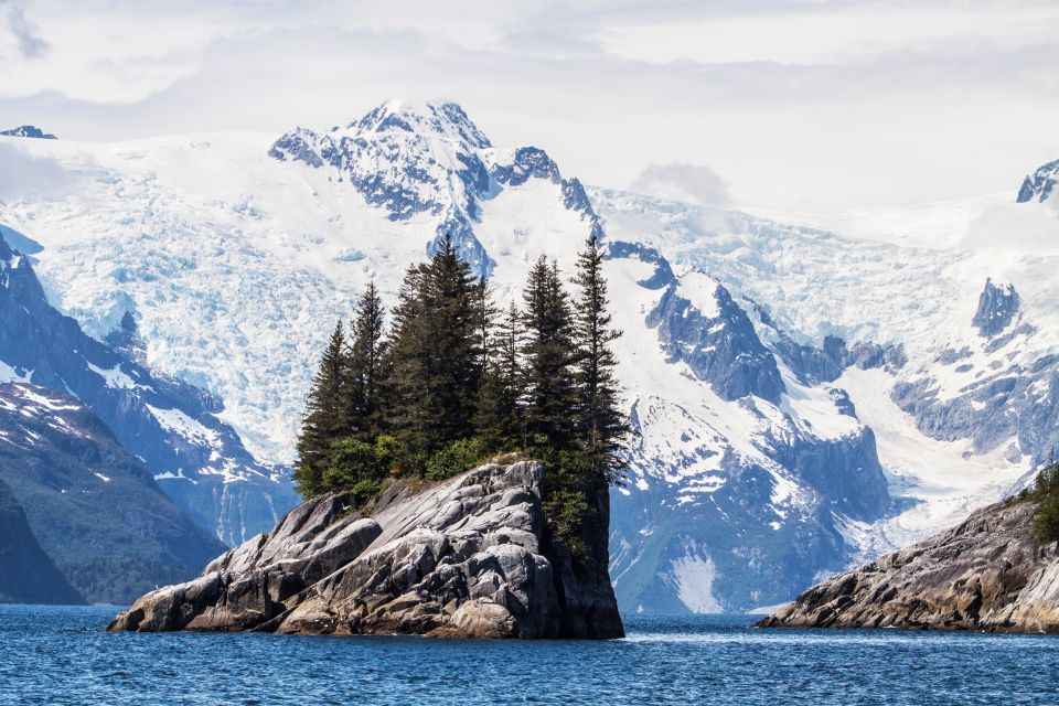 Seward: Kenai Fjords National Park 6-Hour Cruise - Key Points