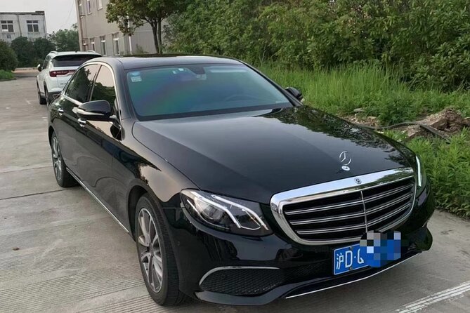 Shanghai Pudong Airport to Shanghai Hotels: Private With Meet & Greet Service - Overview of the Service