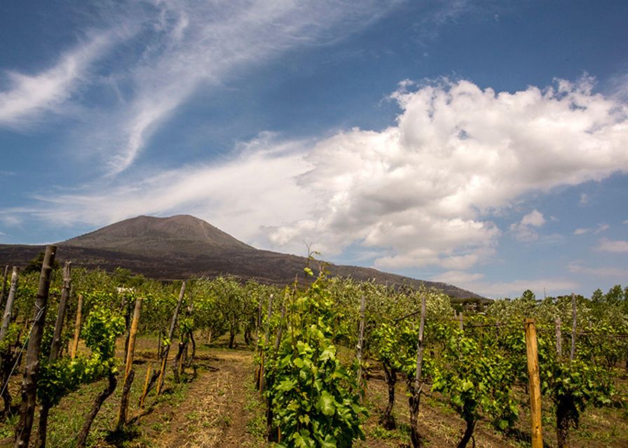 Shore Excursion: Pompeii&Wine Tasting W/Transfer From Port - Key Points