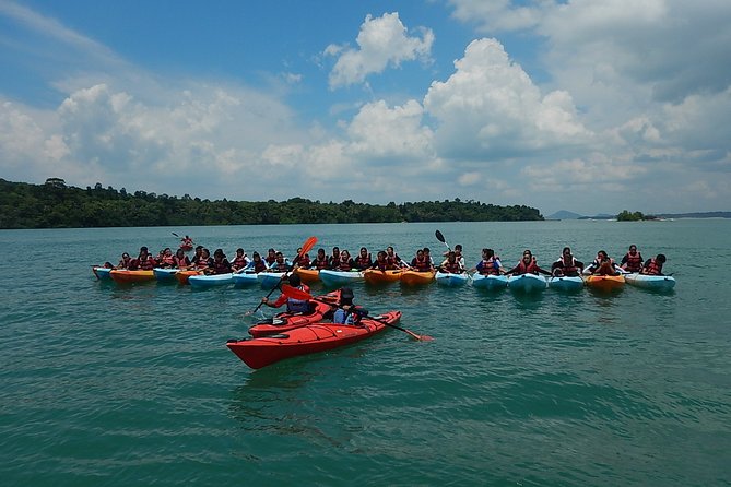 Singapore Round Ketam Kayaking Adventure in Pulau Ubin - Activity Overview