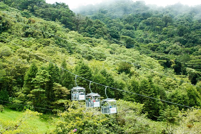 Sky Tram & Sky Trek From Arenal - Experience Overview