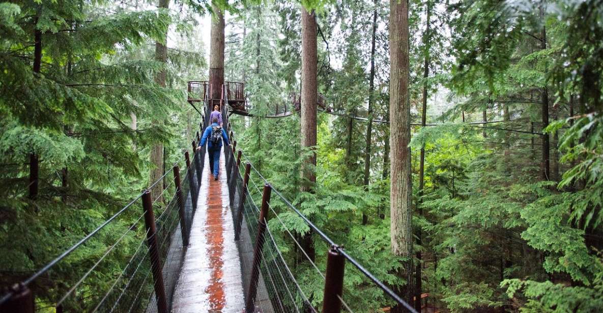 Small Group Tour of Capilano Bridge & Grouse Mountain - Key Points