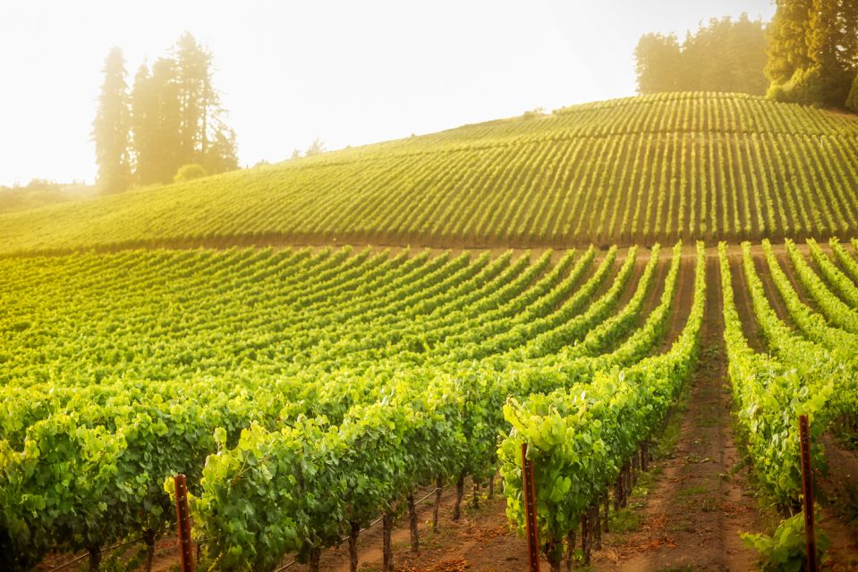 Sonoma County: Tasting Pass (Choose 1, 2, or 90 Days) - Key Points