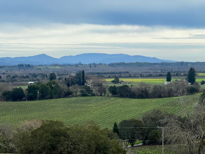 Sonoma Wine Rides: Join in Small Group Wine Tasting Tours - Key Points