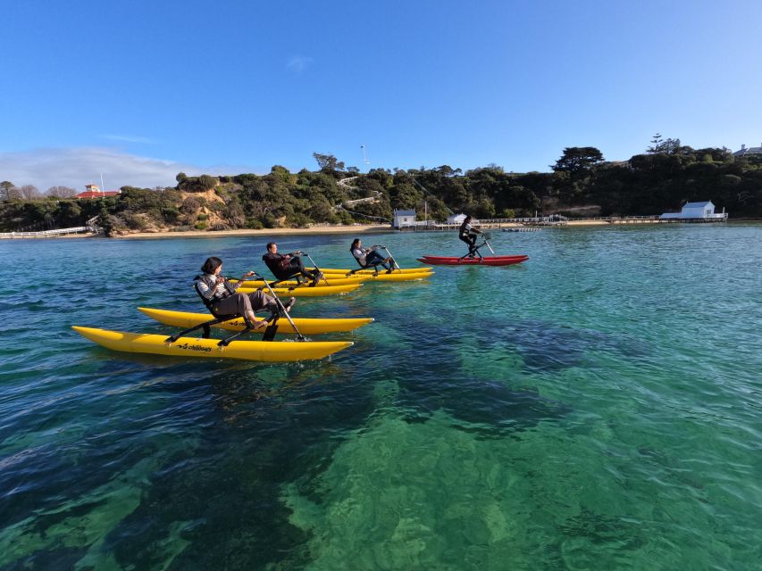 Sorrento, Mornington Peninsula Waterbike Tour