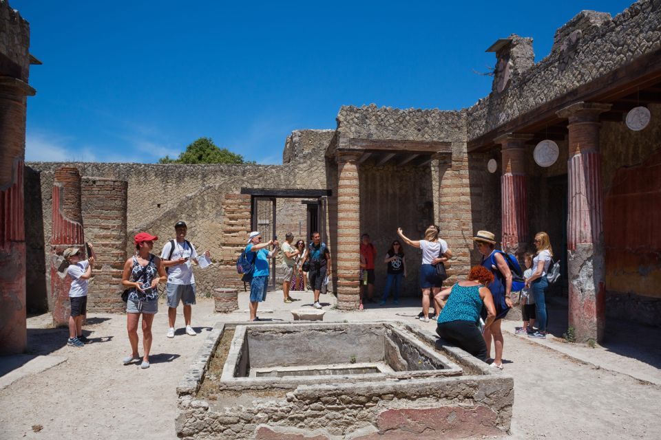 Sorrento: Transfer to Naples With Herculaneum Guided Tour - Key Points