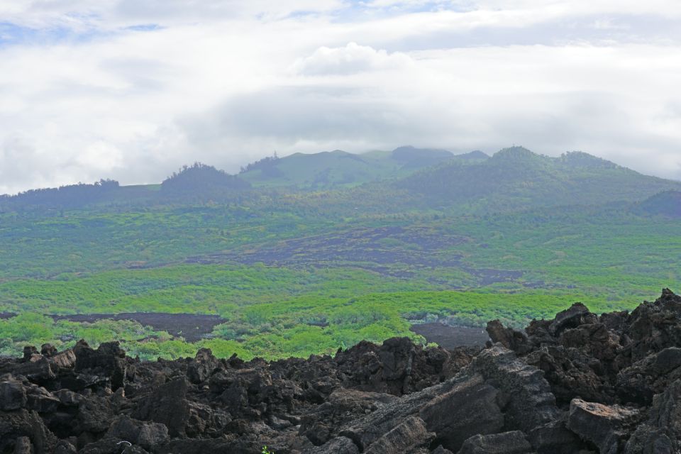 South Maui: Beach Parks Self-Guided Driving Tour - Key Points