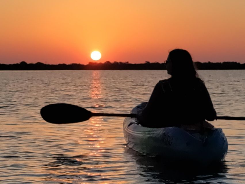 St. Augustine: Kayaking Sunrise Tour - Key Points