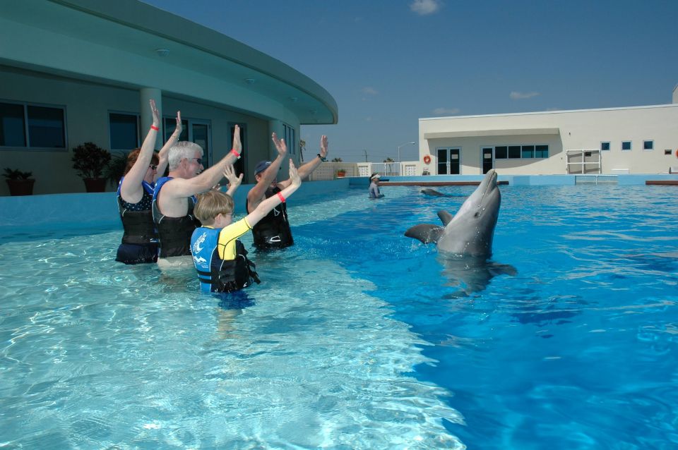 St. Augustine: Marineland Dolphin Encounter - Key Points