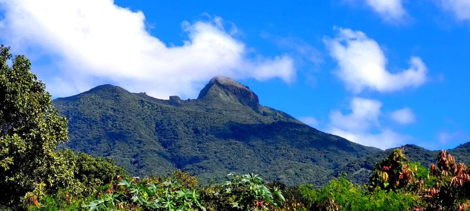 St. Kitts Mount Liamuiga Volcano Hike - Key Points