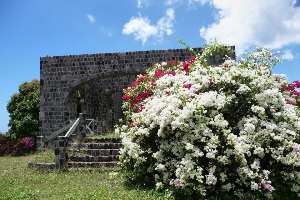 St. Kitts: Top Sights Guided Van or Open-Air Safari Tour - Key Points