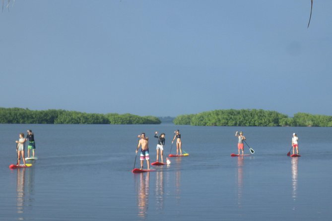 Stand up Paddle in Paradise - Activity Overview