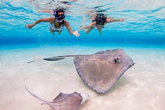 Starfish and Stingray City Fun Tour With Reef Snorkeling- 3 Stops - Key Points