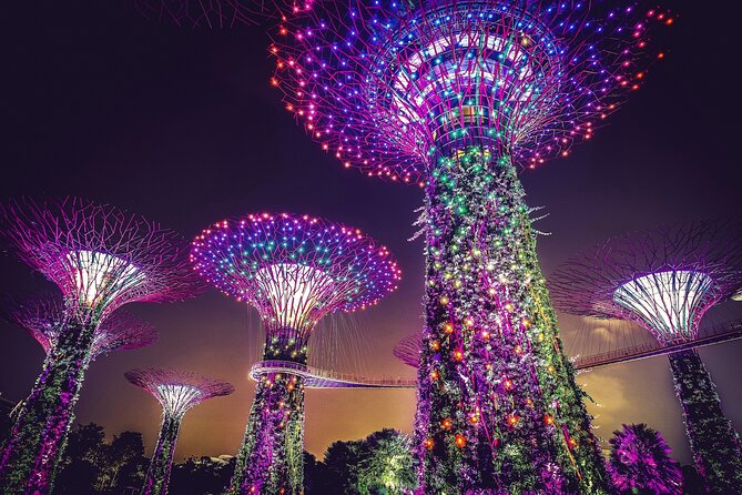Starry Night Singapore Tour + Roundtrip Transfers - Included Services