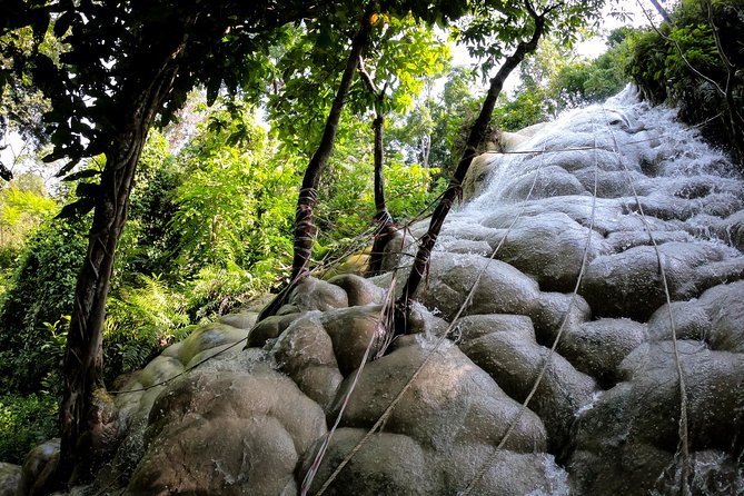 Sticky Waterfall Cycling Tour - Key Points