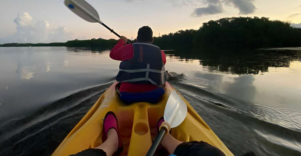 Sunrise Kayak Tour by Wayak Tour - Key Points