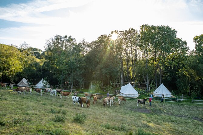 Surfing, Coasteering & Glamping in Cornwall