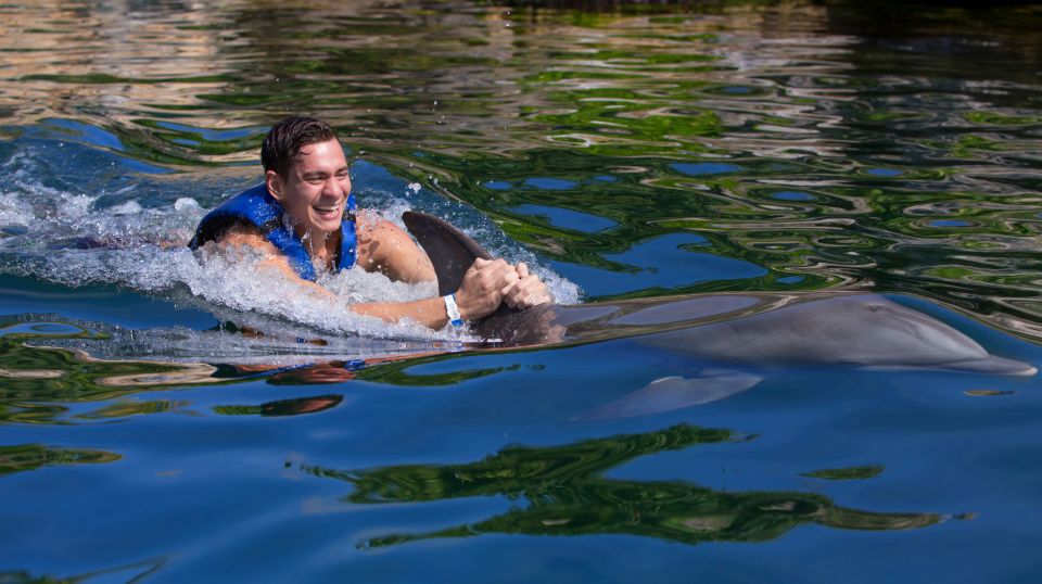 Swim With Dolphins Ride - Riviera Maya - Key Points