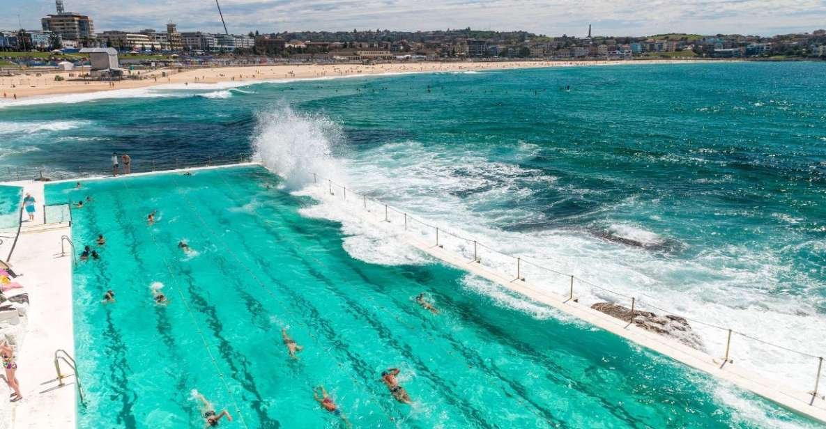 Sydney: City and Bondi Beach Private Luxury Half-Day Tour - Key Points