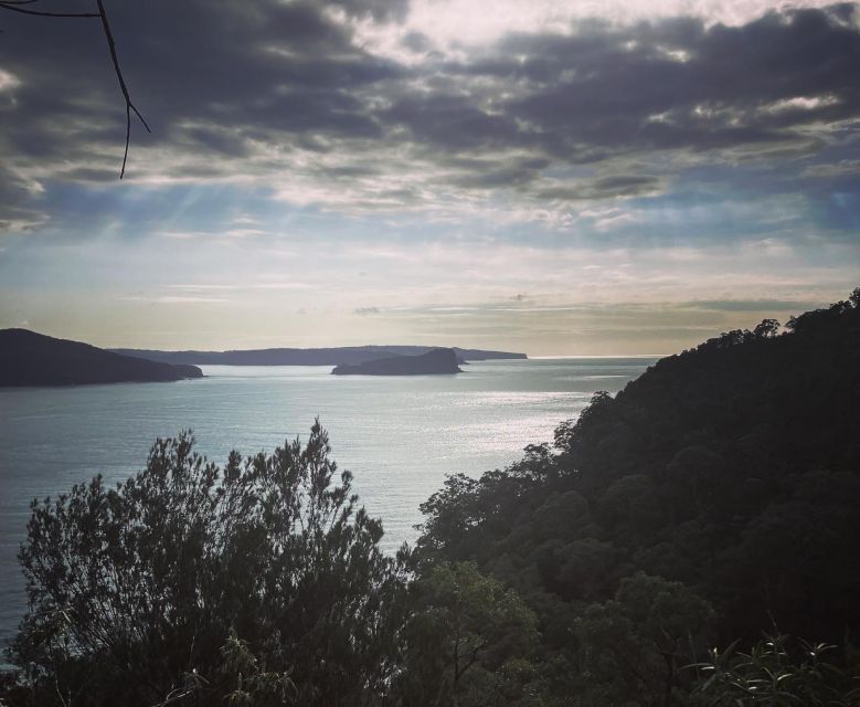 Sydney: Ku-Ring-Gai Chase National Park Day Tour With Lunch - Key Points