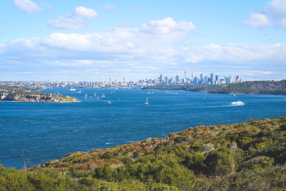 Sydney: Private Half or Full-Day Sightseeing Tour - Key Points