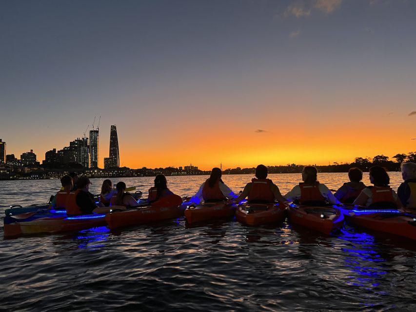 Sydney: Sunset Kayak Tour on Sydney Harbour - Key Points