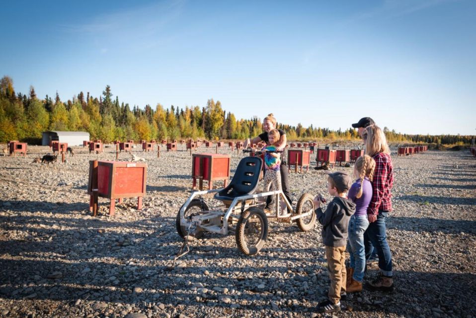 Talkeetna: Mushing Experience With Iditarod Champion Dogs - Key Points