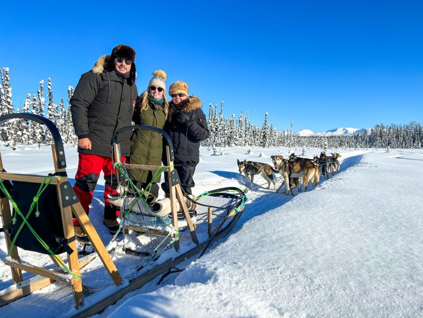 Talkeetna: Winter Dog Sled Tour Morning or Night Mush! - Key Points