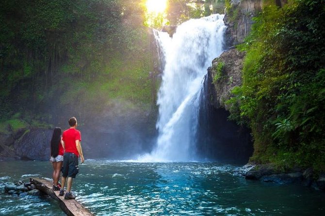 Tanah Lot Tour With Ubud Monkey Forest, Rice Terraces, and Waterfalls - Exploring the Ubud Monkey Forest Sanctuary