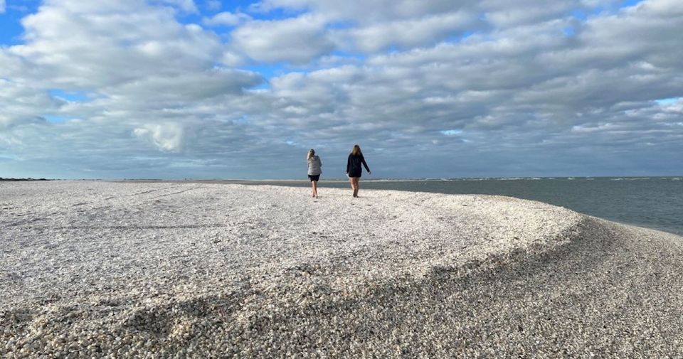 Ten Thousand Islands: Barrier Island Shelling Tour - Key Points