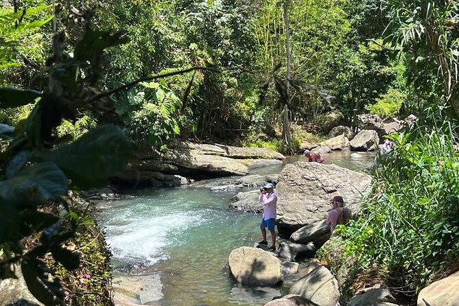 The El Yunque Rainforest, Waterslides, and Beach Tour With Transport - Overview of the Tour