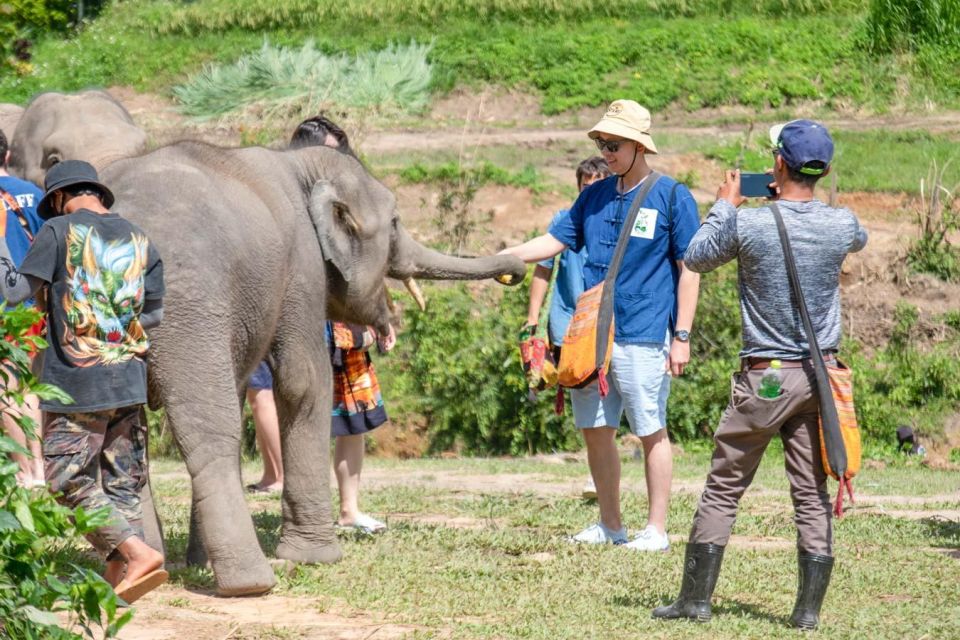 The Ultimate Elephant Experience and Coffee Workshop - Key Points