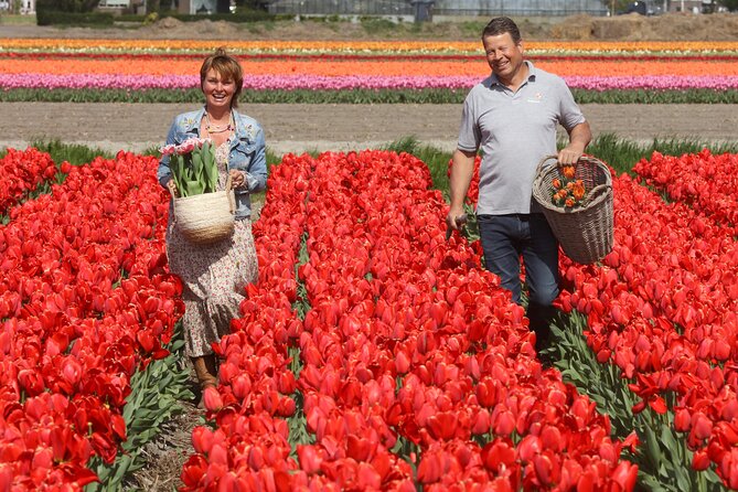 Tour to Keukenhof, Tulip Farm and Windmill Cruise From Amsterdam - Tour Overview