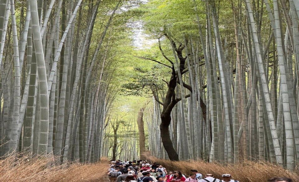 Treasures of Kyoto: Gion & Historical Walking Tour - Key Points