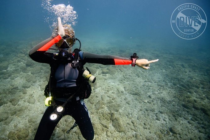 Two Tanks Scuba Diving Tour at Catalina Islands & North Island - CR - Tour Overview
