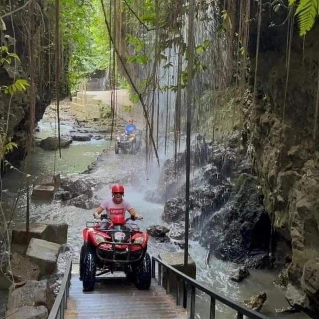 Ubud: Best of ATV Quad Bike Adventure - Key Points