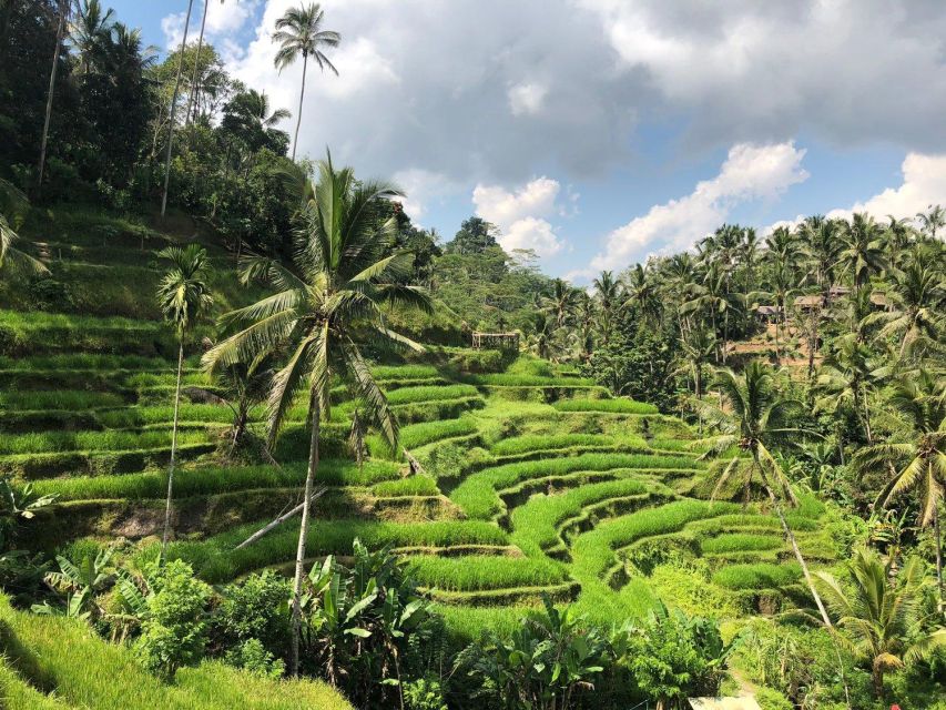 Ubud Full Day Tour - Key Points