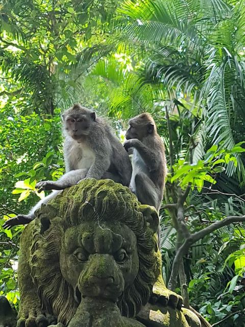 Ubud : Highlight Ubud Village, Culture and Waterfall Tours - Tour Overview