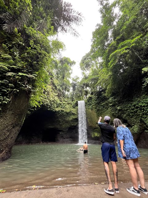 Ubud: Rice Terraces, Water Temple, & Waterfalls Private Tour - Key Points