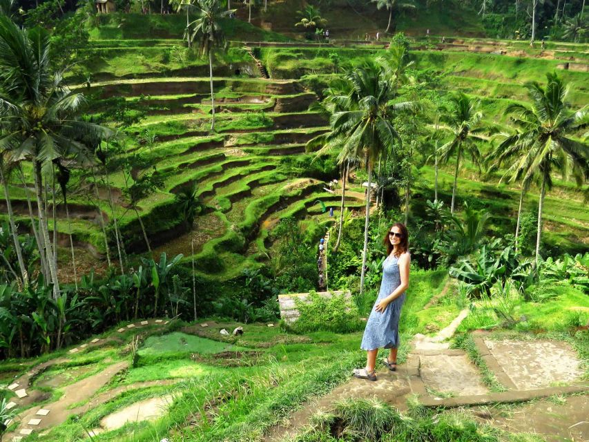 Ubud: Rice Terraces, Waterfall, and Monkey Forest Day Tour - Key Points