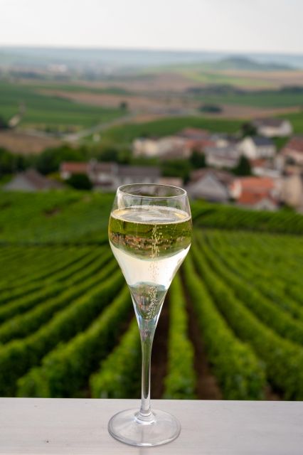 Valdobbiadene: Private Prosecco Tour & Tasting With a Sommelier - Key Points